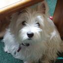 JoAnn Farris - @JAZZIEJO - Twitter