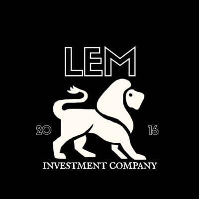 Финансовая инициатива LEM company, экспертная оценка и проведение ICO