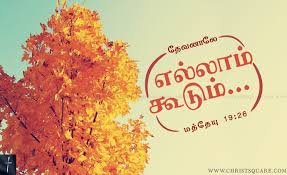 rechalmanoj's profile picture. intelligent king