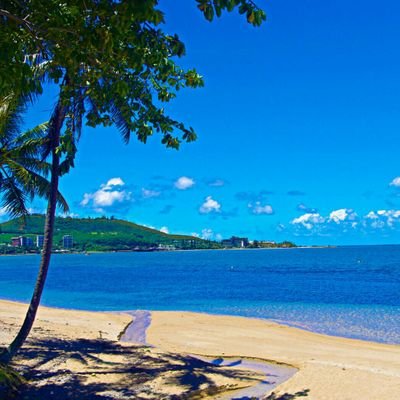 kasutera_coj's profile picture. 広島  修道69回生 バスケ  LOL  立命薬薬   麻雀  Peace(Gt フレデリック