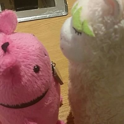 팅さんのプロフィール画像
