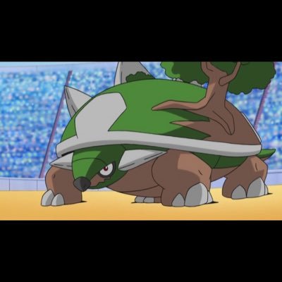 ポケモン厳選初心者   マンダは初手竜舞