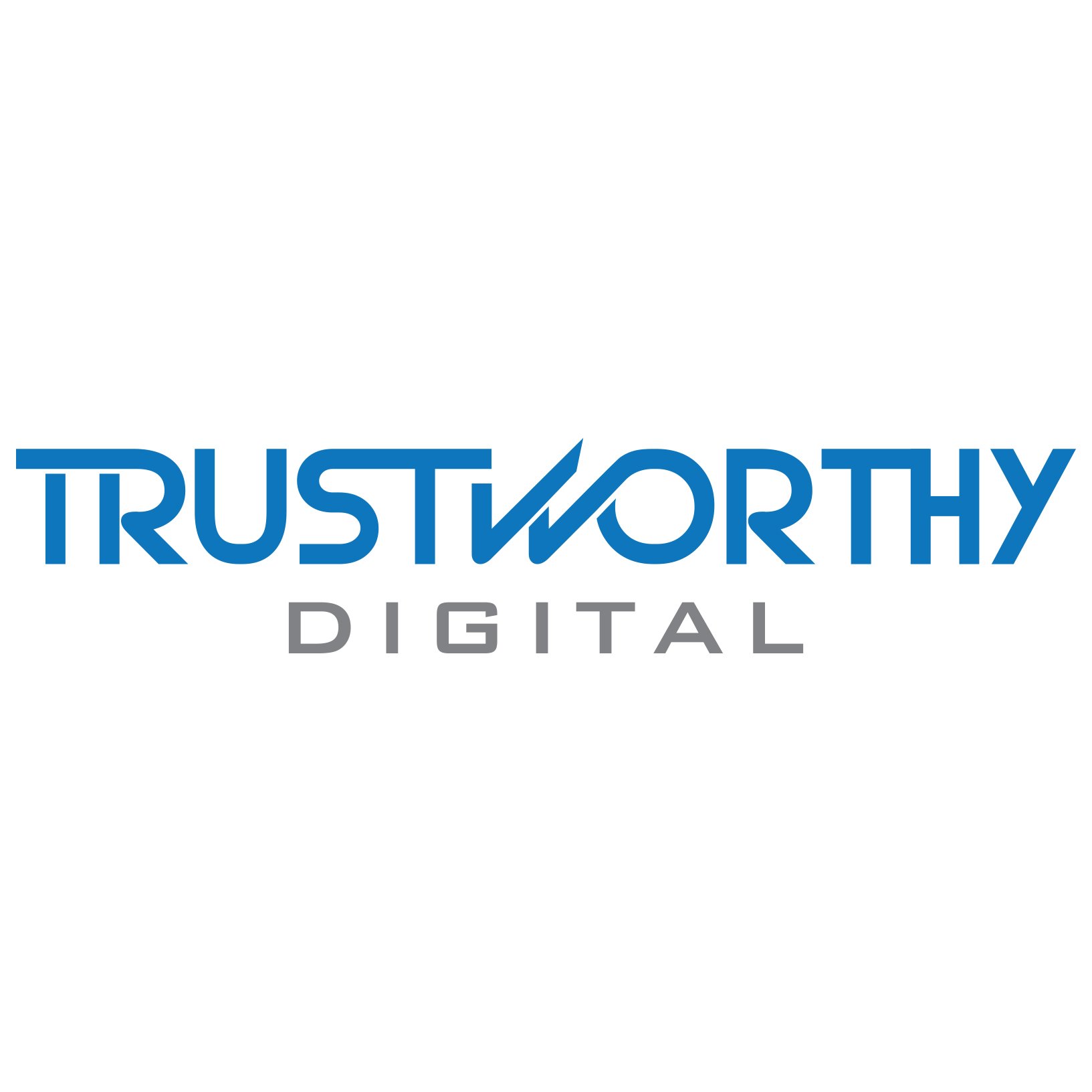 Trustworthy Digital is a full service digital advertising and analytics agency focused on delivering industry leading results with integrity.