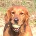 Nancy Houghtby (@nancyhou1) Twitter profile photo Nancy Houghtby (@nancyhou1) Twitter profile photo