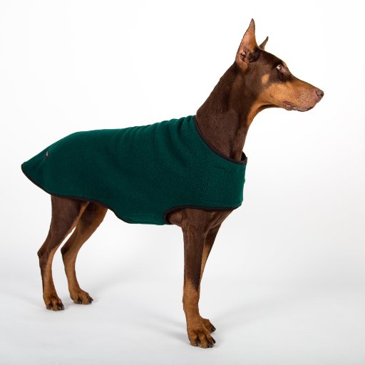 MMDCBoulder's profile picture. Handmade Custom and Stock Winter Coats for Dogs. Made in Colorado for Rocky Mountain Winters!