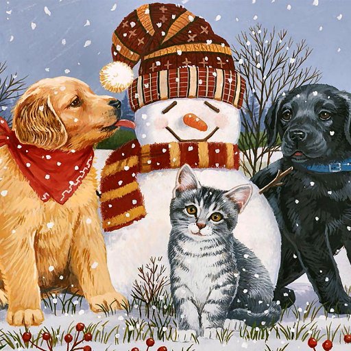 A Serene Critique Advocate for the welfare of all animals. Also a frequent sharer of animal photos around the interweb. x