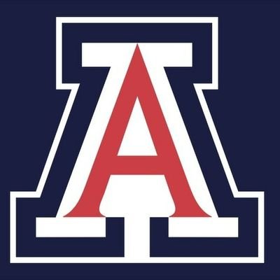 Marketing exec at Epsilon and proud UofA alum.  Bear Down and Go Cats.