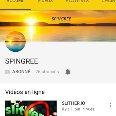 Abonnez-vous à ma chaîne youtube ''SPINGREE''