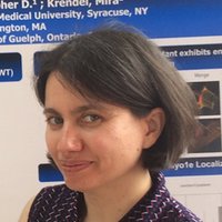 Mira Krendel (@kidneymyosin) 's Twitter Profile