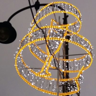 Littlepidd1's profile picture. Fat, fed up and over 40