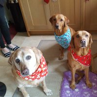 Rockellsue@pollypops6🧡🧡 (@pollypops6) 's Twitter Profile