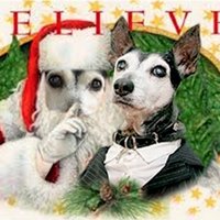 PepiSmartDog (@pepismartdog) 's Twitter Profile