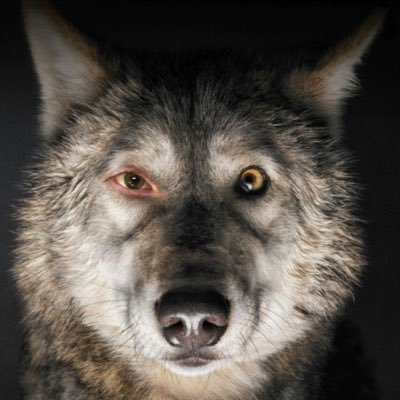 jojo71707's profile picture. ✿◕ ‿ ◕✿