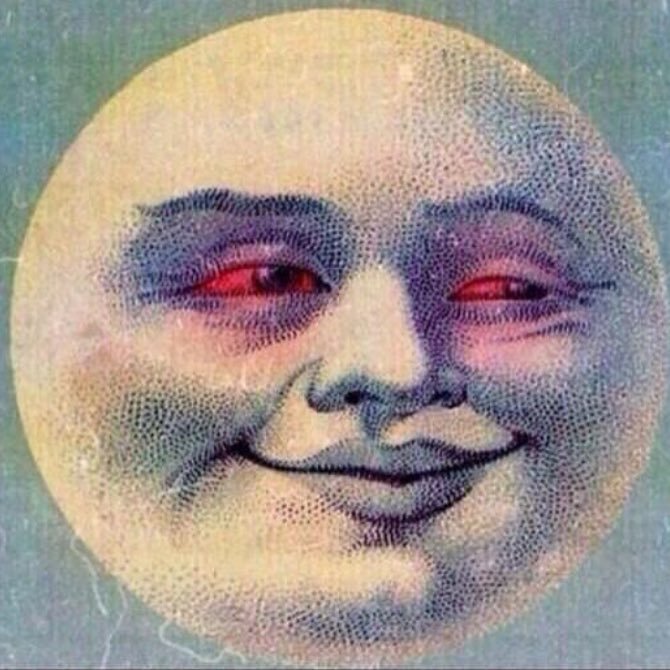 noahtalbot420's profile picture. 🛹🍃