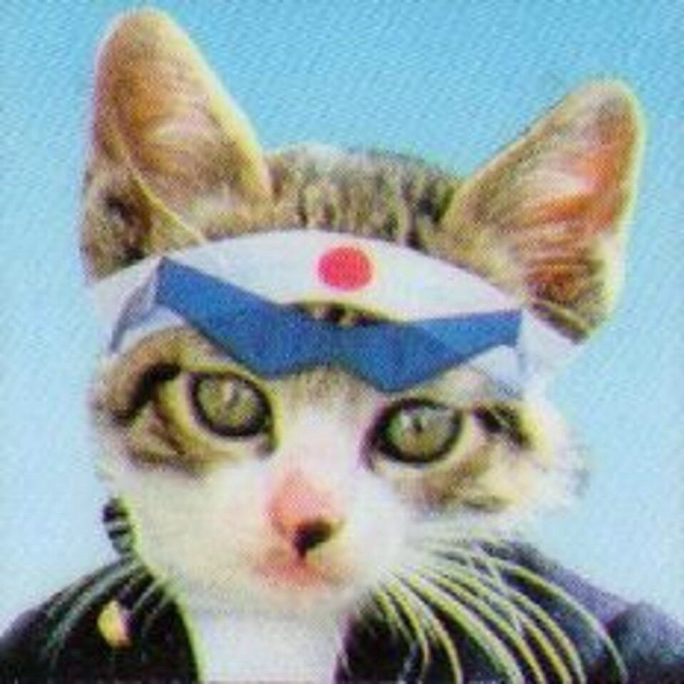 gara0523's profile picture. due tomorrowはdo tomorrow