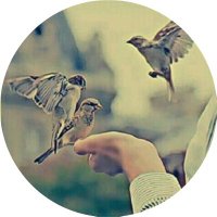 الْــ؏ـَـيْطَمُوْس ♬ (@al3aytamos) 's Twitter Profile