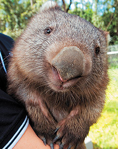 kissnblog's profile picture. Intelligent coupling.