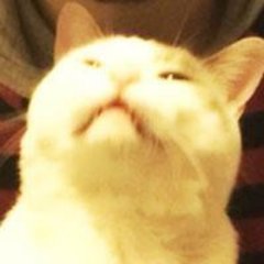 RyoNkmr_'s profile picture. リファラル限定