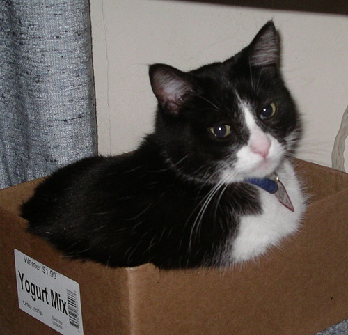 2 cats living in California...and we hope to occasionally share information about products we like too