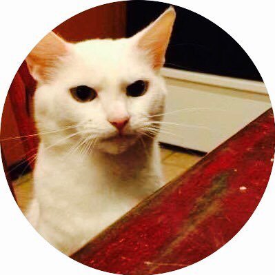 たぶん∴山本絲人