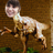 Biebersarus's profile image
