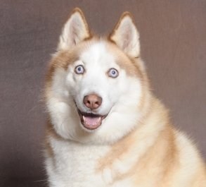 bmat10's profile picture. 