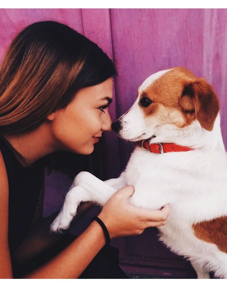 StylatorHere's profile picture. Won't stop till we surrender.