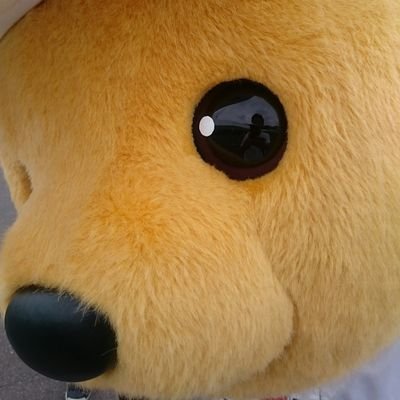 mtsn_stsh's profile picture. 今は会社員。kg68th→東北大工+環。昔は落語も。てんぱ亭くるくるの中の人。Prusa mini+。ﾘﾄﾙﾄｩｰｽからの典型的なおひさま。研究は変成岩と変質岩。