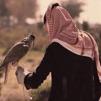 عباد الديحاني (@l_fl_f) 's Twitter Profile