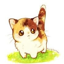 meeeowth_'s profile picture. 