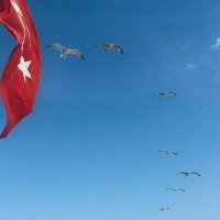 Cumali UÇAR (@cumaliucar44) 's Twitter Profile Photo