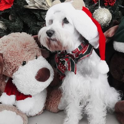 LeidyDi28's profile picture. #😚😍