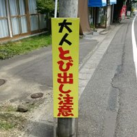 うぃーふぃー (@wefeesnhc) 's Twitter Profile