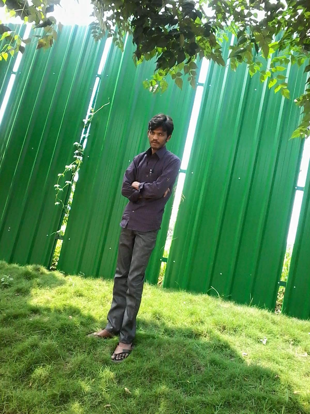 sriyadav358's profile picture. Student