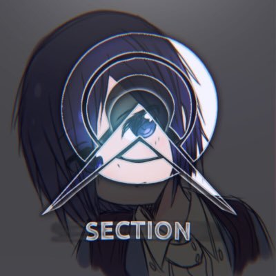 SecTioN_iOS's profile picture. Competitive C-ops player , proud member of sD Clan ( @smartDesicionHQ ) , #ANIMETITEIS