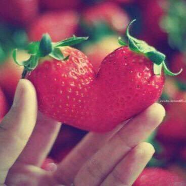 crazyforuknow's profile picture. 東方神起❤︎ユノ&チャンミン❤︎が大好きなユノペンです。チャンミン溺愛。これまでは何だったのかと思う程人生変わりました。空、月、花の写真多めです。24hours a day, 7days a week, 365days a year, TVXQ! あとこそっとびんとろ民🐶🤖📦😺🐻🐰