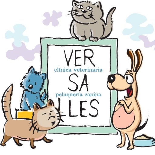 Clínica veterinaria al servicio de todo tipo de mascotas desde hace 15 años. Como queremos seguir mejorando día a día ayúdanos con tus sugerencias