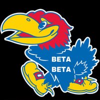 ΣAI - Beta Beta (@sai_betabeta) Twitter profile photo