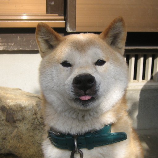 l77DBIsJeV8pGB1's profile picture. 2016年6月より念願の自由人となりましたが、現状日々の家事手伝いとジム通い中。以前より温めていた「死ぬまでにやっておきたい10カ条」は前進できていないので再検討中。