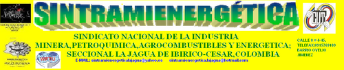 sindicato nacional de los trabajadores mineros petroquimicos, agrocombustibles y energeticos SINTRAMIENERGETICA seccional la jagua de ibirico.