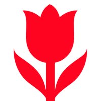 It's Tulip Time! 🌷 (@tulipfestivals) 's Twitter Profile