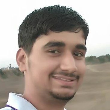 IT Professional