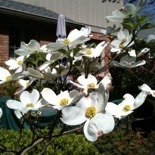 bflorenthal's profile picture. 