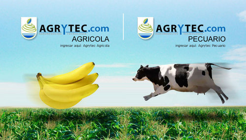 Creador y Fundador de Agribusiness Ecuador Cía. Ltda., con su primer producto Agrytec.com : EL LIDER EN INFORMACION Y COMERCIO AGROPECUARIO EN EL AREA ANDINA