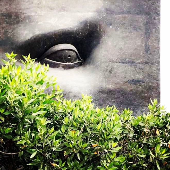 Siham_ksa's profile picture. 