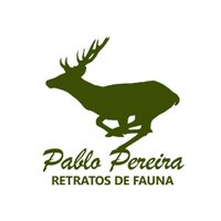 Retratos de  Fauna(@retratosdefauna) 's Twitter Profile Photo
