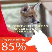 Rose Ravenscroft Ⓥ (@ravenscroftrose) 's Twitter Profile