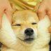 김우진 (@woojin6740) Twitter profile photo 김우진 (@woojin6740) Twitter profile photo