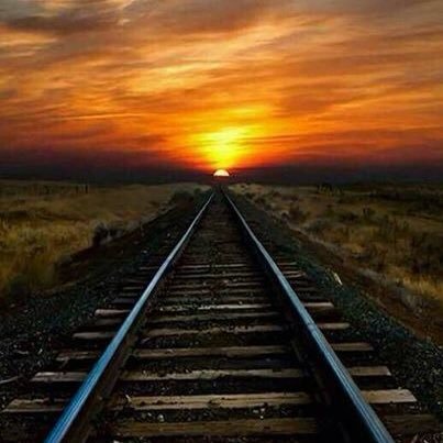 tahiatmounir1's profile picture. News searcher