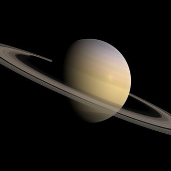 J_IreneTieman's profile picture. Repositories for all and none. ♍